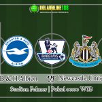 Prediksi Brighton & Hove Albion vs Newcastle United 21 Juli 2020